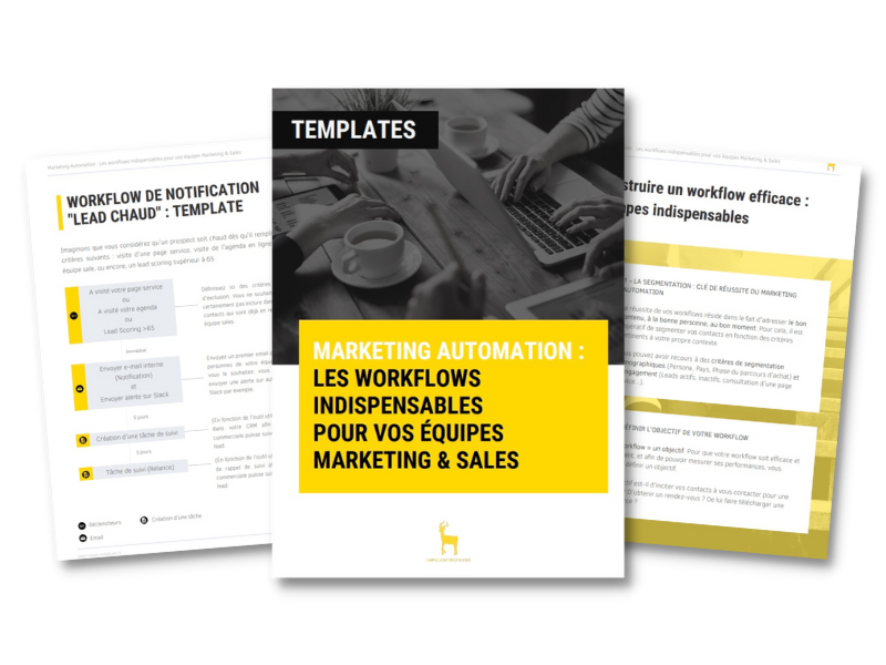 exemple workflow marketing automation